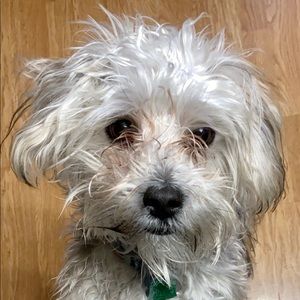 Meet your Posher, Brooke